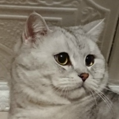 Анна Ипполитова, 19.07, Санкт-Петербург