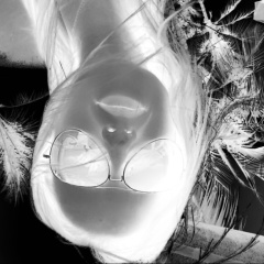 Надежда Липатова, Москва