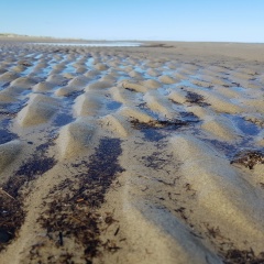 Игорь Трофимов, Дюртюли