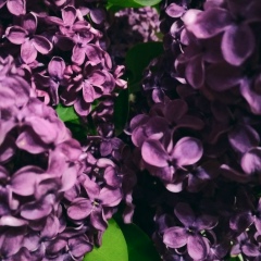 Тетяна Федуна