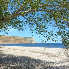 Елена Брыжина, Волгоград