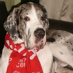 Наталия Матвеева, 12.06.1982, Пенза