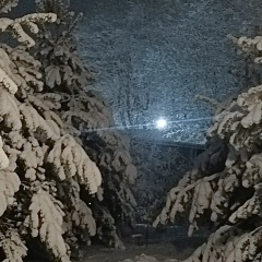 Маринка Марусевич, Санкт-Петербург