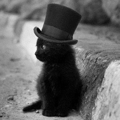 Slam Slam, Los Angeles