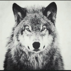 Денис Васильков, 02.02.1998, Ставрополь