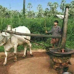 Aung Kyawminn, 25.11.1979, Pathein