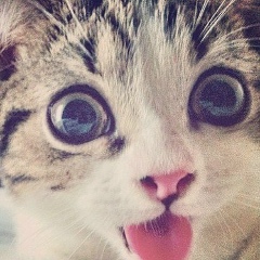 Владислав Мякишев, 17.10, Санкт-Петербург