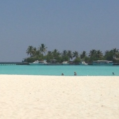 Eugene Artemyev, 06.05, Москва