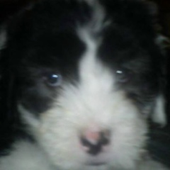 Jose Luna Soto, 06.11.1989, México