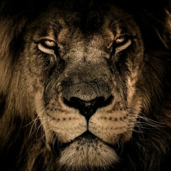 Сабит Канатбаев, 24.07.1992, Тюлькубас