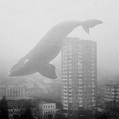 Андрей Чернышов, 03.01, Los Angeles