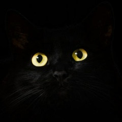 Семен Смирнов