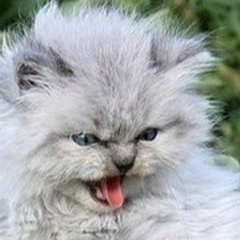 Виталий Касаткин, 11.05.1992, Томск