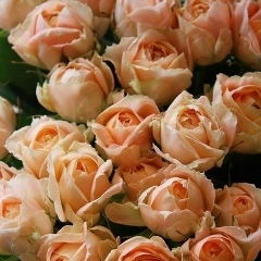 Анастасия Есаулова, 17.06.1987, Кишинев