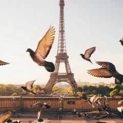 Dana Shamshidinova, 05.07.1990, Алматы