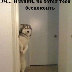 Максим Луппов, 08.08.1998, Менделеевск