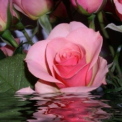 Айман Шопатова, 05.03, Сарканд