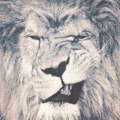 Абылайхан Ельтай, 06.06