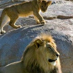 Канат Утесинов, 27.02.1983, Актау