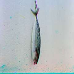 Антон Ткачук, 03.01.1991, Астана