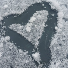 Татьяна Лемешонок, 13.06, Санкт-Петербург