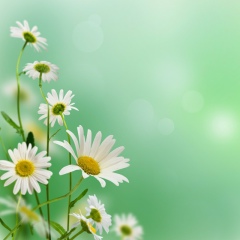 Мария Белинская, 09.07.1982, Одесса