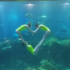 Nataliya Tsimbanenko, Shenzhen