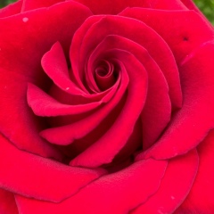 Елена Жаркова, 05.02, Москва