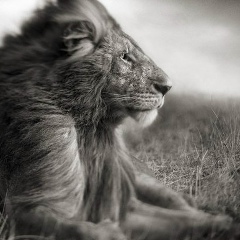 Нургельди Эсенов, 13.02, Москва