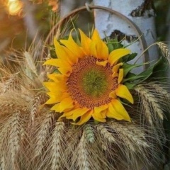 Евгения Георгиева, Самара