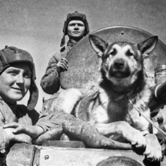 Олег Синёв, 01.05.1988, Актау