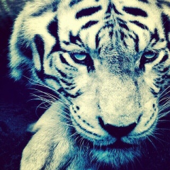 Стёпа Унтура, 07.07, Кишинев