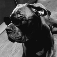 Кирилл Петроченко, 20.11.1942, Qingdao