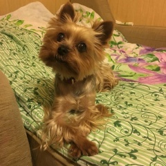 Антоха Кожанов, 17.12, Москва