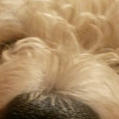 Анна Джелич, 24.02, Санкт-Петербург