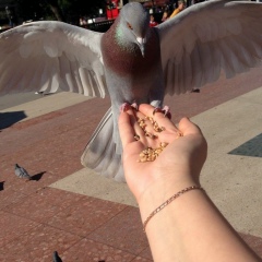 Аня Хаустова, 06.12.1990, Москва