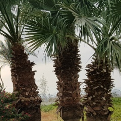 Ольга Виниченко, 06.01.1989, Алматы