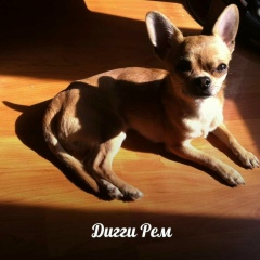 Виктор Горюнов, 08.07.1991, Москва