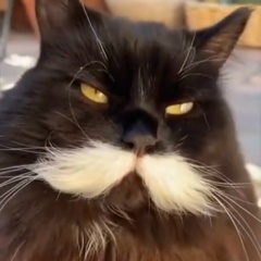 Евгений Атлашкин, 27.12.1977, Повенец