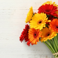 Мария Буслаева, Балашиха