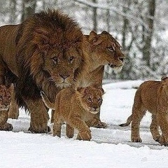 Сергей Пышный, 19.01.1979, Киев