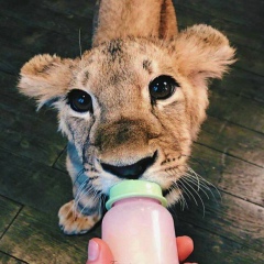 Данияр Шаматов, 23.08, Астана