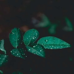 Wunana Tun, 10.12.1986