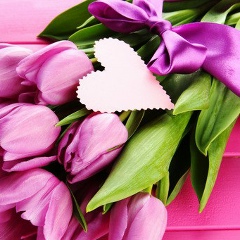 Оленка Грицько, 22.07, Львов