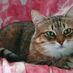 Евгений Онученко, 19.02