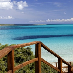 Дмитрий Васечкин