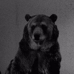 Батыр Совет, 12.12.1996, Алматы