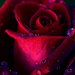 Асем Тойбосынова, 05.08.1987