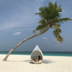 Томирис Акымбекова, 08.02.1994, Abu Dhabi