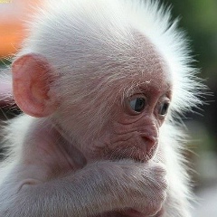 Владимир Друшляк, 10.02.1979, Харьков